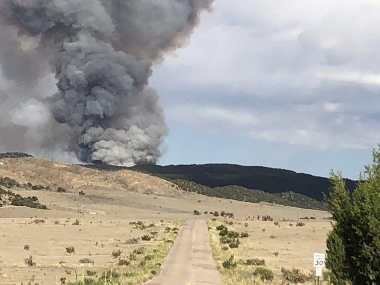 YMCA Wildfire