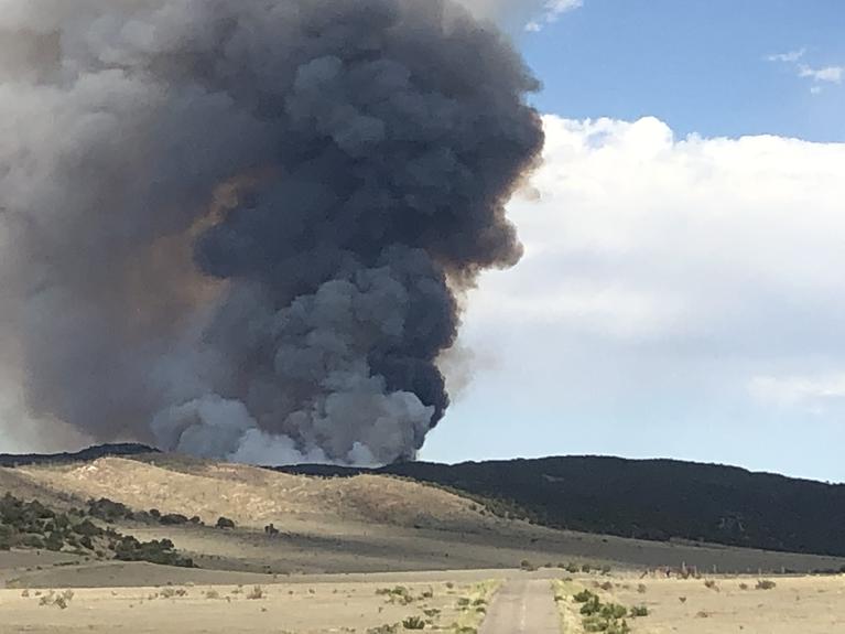 YMCA Wildfire