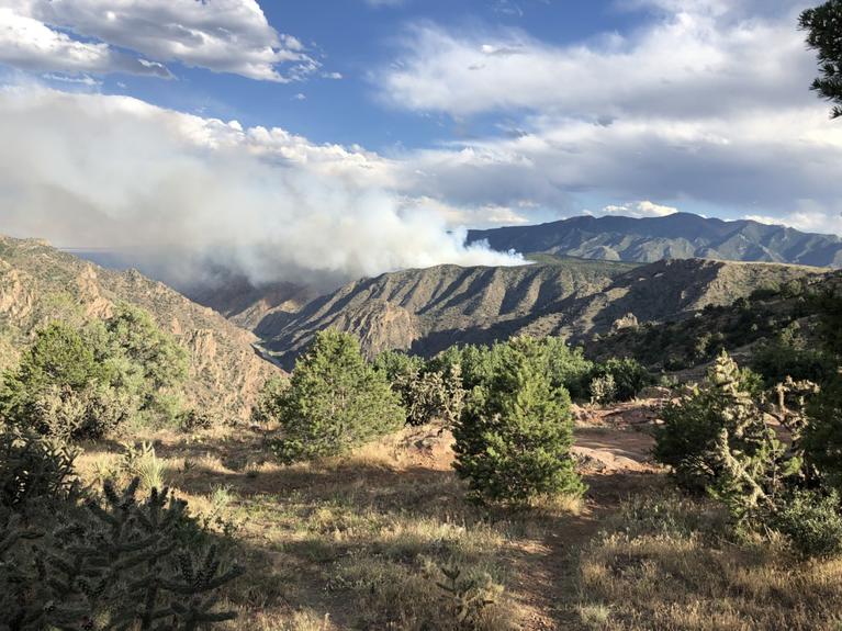 YMCA Wildfire